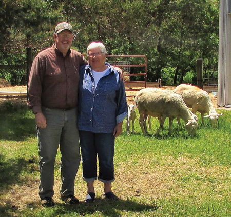 Spit in the Wind Sheep Farm